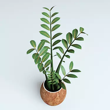 Zamioculcas Plant - Perfect for Workspace! 3D model image 1 