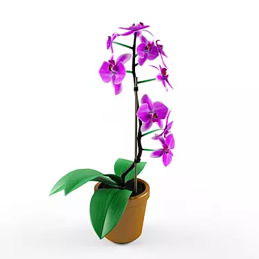 Exquisite Orchid Blossom 3D model image 1 