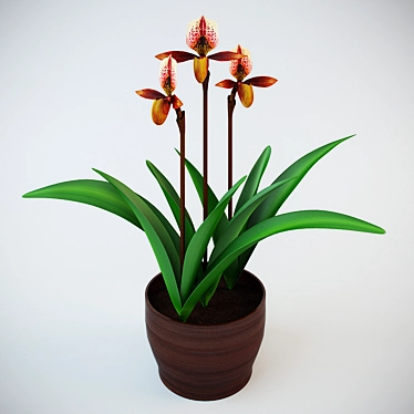 Exotic Winter Bloom Orchid 3D model image 1 