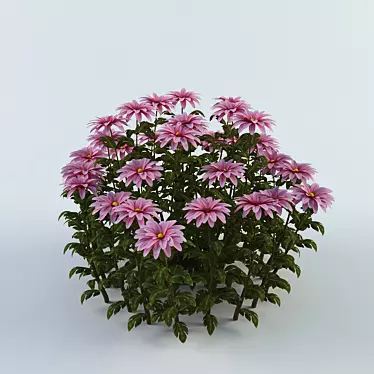 Blossoming Beauties: Chrysanthemums 3D model image 1 