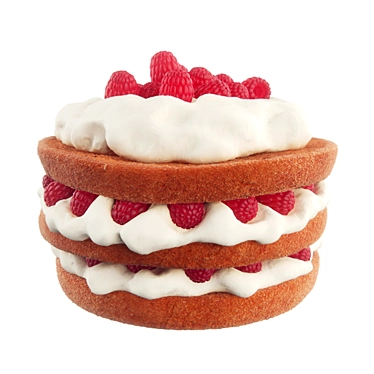  Raspberry Dream Cake 3D model image 1 