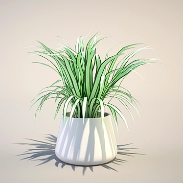 Green Life Spider Plant 3D model image 1 