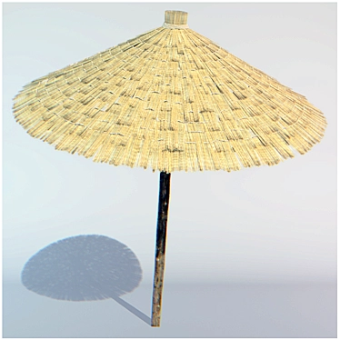 Sunny Straw Beach Parasol 3D model image 1 