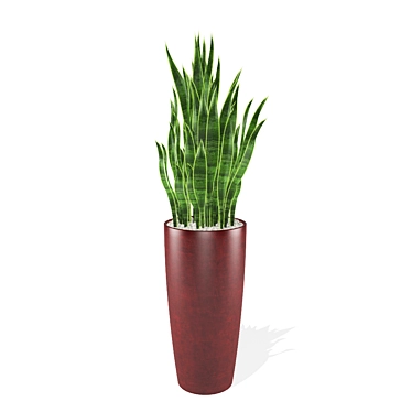 Modern Interior Sansevieria 3D model image 1 