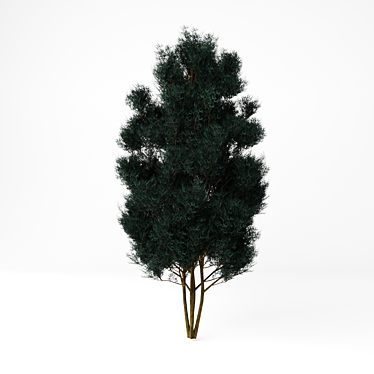 Tall Chamaecyparis Tree: 1600mm 3D model image 1 