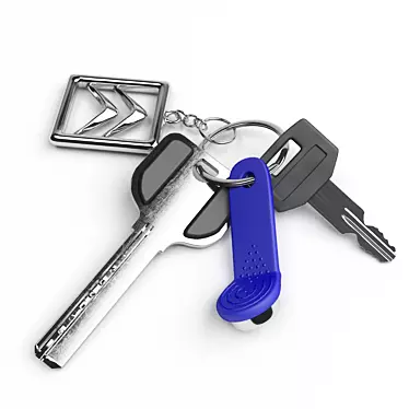 Citroen Key Bunch with Logo and Magnetic Key 3D model image 1 