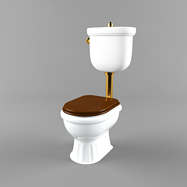 Toilet Maroon