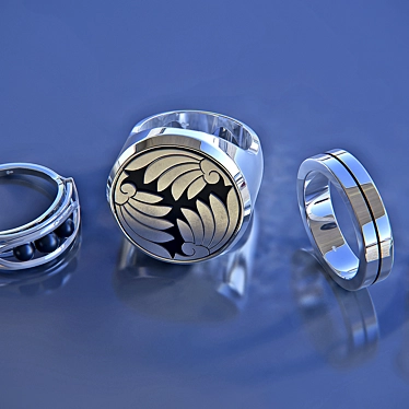 Sterling Silver Ring Set 3D model image 1 