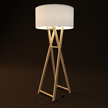 Elegant Wood Floor Lamp 3D model image 1 
