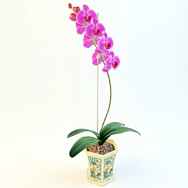 Elegant Orchid02: Beauty Blooms 3D model image 1 