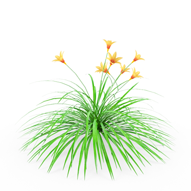 Daylily: Vibrant Perennial Blooms 3D model image 1 
