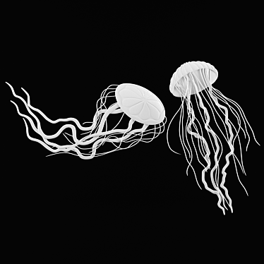 Jellyfish 