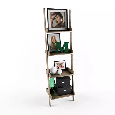 beCOZY Bookshelf-Ladder: Versatile Storage & Decor Solution 3D model image 1 