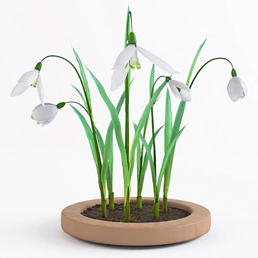 Title: Snowdrops Collection: 6 Unique Flower Types 3D model image 1 