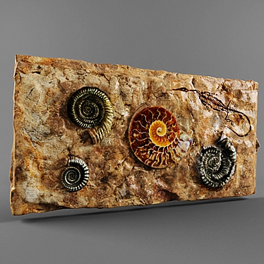 Ancient Treasures: Fossil Collection 3D model image 1 