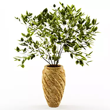 Houseplant Raw Umber