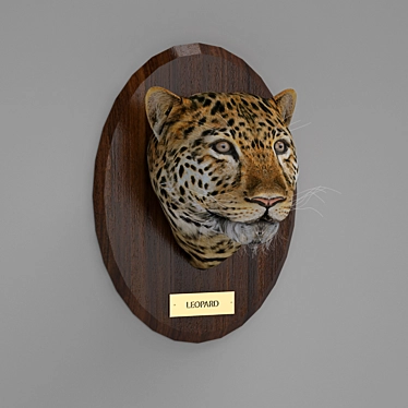 Magnificent African Leopard 3D model image 1 