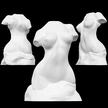 Female Torso