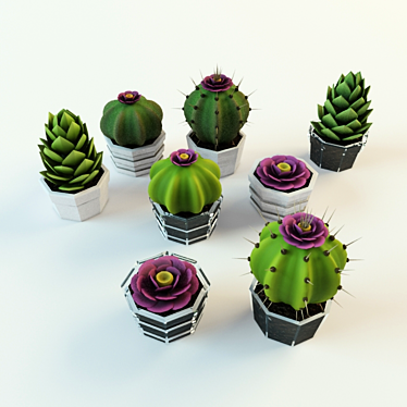 Cacti and succulents