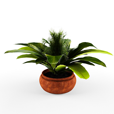 Tropical Beauty in a Pot 3D model image 1 