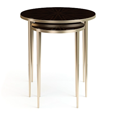 Christopher Guy 2014 76-0229: Stylish Nickel Plate/Madagascar Ebony Side Table 3D model image 1 