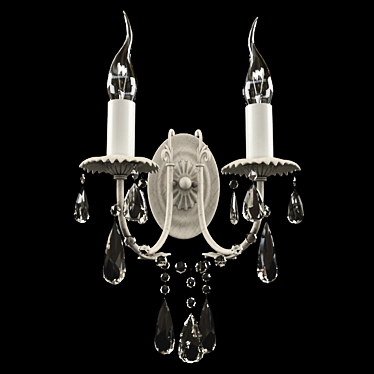 Wunderlicht NT6087-02 Elegant Wall Sconce 3D model image 1 