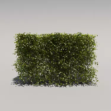 Trimmed Low Bush 3D model image 1 