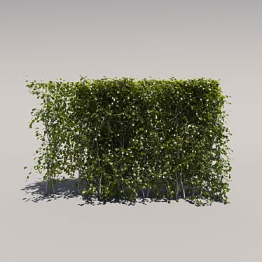 Compact Low Bush - 2nd Iteration 3D model image 1 