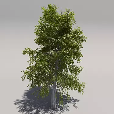 Giant Geometric Tree 3D model image 1 