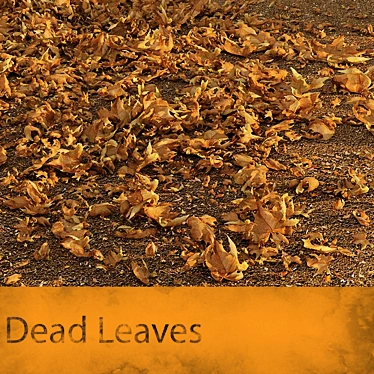Autumn Elegance: Dead Leaves 3D model image 1 
