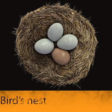 Natural Nest: Merge & Render 3D model image 1 