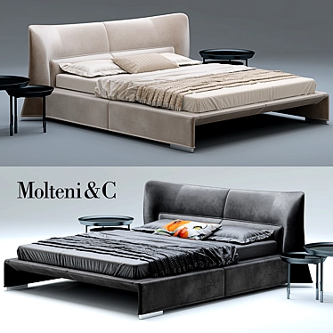 Luxury Comfort Bed: Molteni & C 3D model image 1 