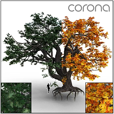 Versatile Tree 3D Model 3D model image 1 