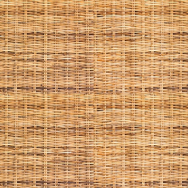 Natural Rattan Texture 3D model image 1 