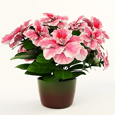 Azalea Flower Vase 3D model image 1 