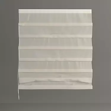 Transparent Roman Blinds 3D model image 1 