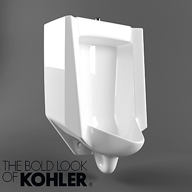 Kohler Bardon Urinal 3D model image 1 