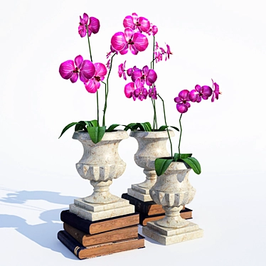 Elegant Orchid Vases 3D model image 1 