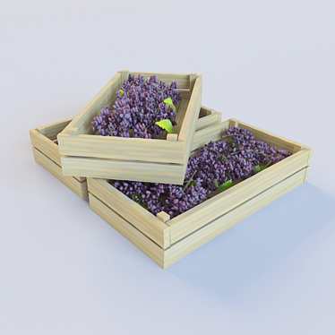 Vibrant Polygon Grapes 3D model image 1 