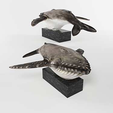 Title: 3D Whale Model Bundle 3D model image 1 