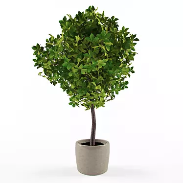 Foliage Paradise: Decorative Houseplant 3D model image 1 