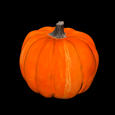Pumpkin Model with Normal Map 3D model image 1 