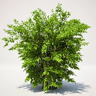 Lush 120cm Green Bush 3D model image 1 