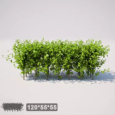 Mini Square Shrub - 120x55x55 3D model image 1 