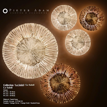 Pieter Adam Le Soleil: Decorative Wall discs & sconces 3D model image 1 