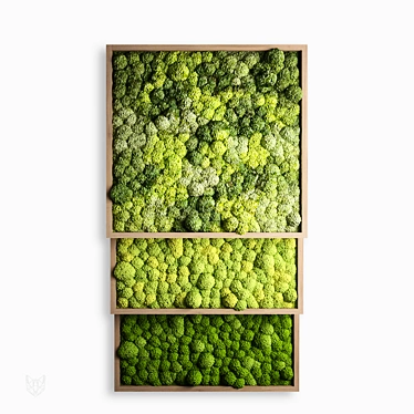 Stabilized Moss Panels: Natural Green Décor 3D model image 1 