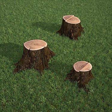 Rustic Oak Stump 3D model image 1 