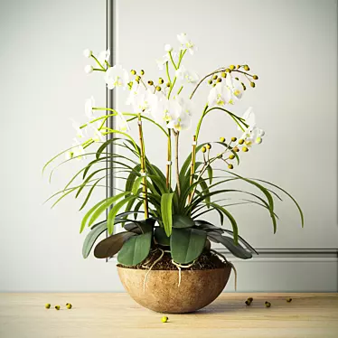Elegant Orchid Composition 3D model image 1 