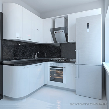 Elegant Monochrome Kitchen by Beltorgkompani 3D model image 1 