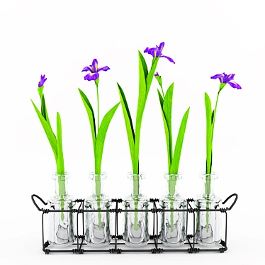 Ethereal Blooms: Irises 3D model image 1 